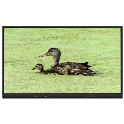 لوحة سوداء تفاعلية من 65 بوصة مع تخزين 8 + 128G وملمس الأشعة تحت الحمراء للتدريس والاجتماعات