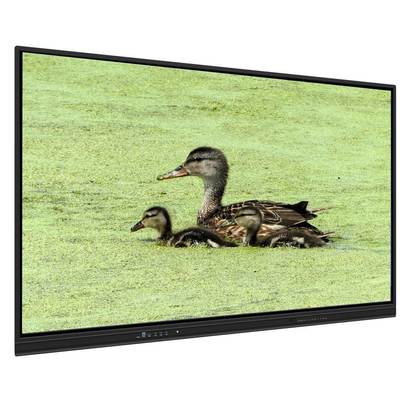 كل شيء في واحد لوحة تفاعلية 65 بوصة أندرويد 14 15 8+128G برنامج اجتماعات التدريس 50 نقطة لمسة مستشعر الضوء مكبرات الصوت متجر التطبيقات المدمج للتعليم التدريس الاجتماعات عبر الإنترنت