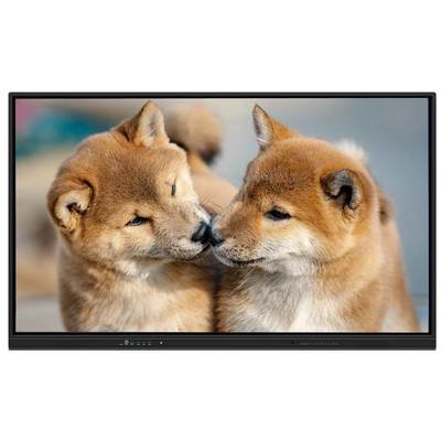 لوحة تفاعلية مسطحة مثبتة على الحائط بنظام Android 14، كمبيوتر 15 بوصة، 75 و 86 بوصة، لوحة ذكية، واي فاي، مكبرات صوت 60 واط، كاميرا Ai، ميكروفون، برنامج سبورة بيضاء مدمج