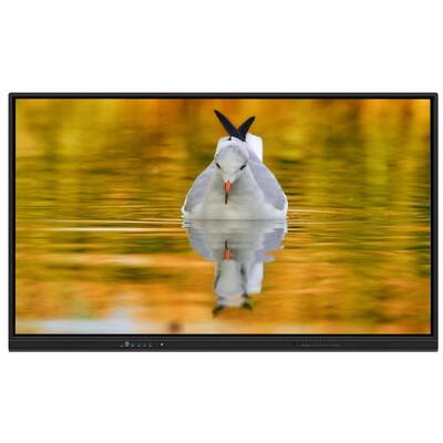 لوحة LED تفاعلية مع Android 14 Ultra Fine Infrared Touch وميكروفون الكاميرا الاختياري للمدارس والاجتماعات