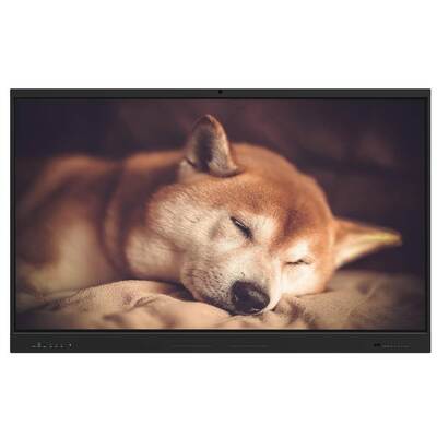 لوحة مسطحة تفاعلية 65 75 86 بوصة أندرويد 14 15 8+128G رام وتخزين واي فاي BT لوحة بيضاء برنامج الاجتماعات مكبر الصوت مدمج في كاميرا اختيارية ميكروفون متحرك مع منافذ HDMI USB لمكتب المدرسة